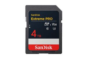 Western Digital представила SD-карту SanDisk на 4 ТБ з NAND — у продажу з 2025 року photo