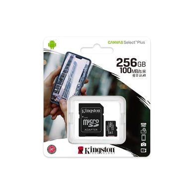 Карта памяти Kingston microSD 256GB C10 UHS-I R100/W85MB/s + SD SDCS2/256GB фото