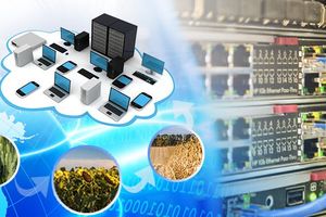SPEZVUZAVTOMATIKA built a local area network (LAN) for complex conditioning seed crops one of the world leaders in the industry photo