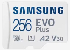Карта пам'яті Samsung microSDHC 256GB C10 UHS-I R100MB/s Evo Plus + SD MB-MC256KA/EU фото