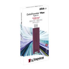 Накопитель Kingston 256GB USB 3.2 Type-A Gen 2 DT Max DTMAXA/256GB photo