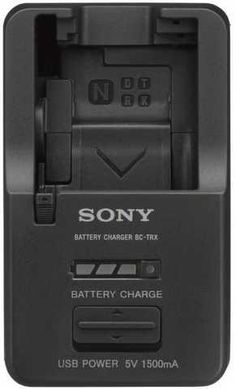 Зарядное устройство универсальное Sony BC-TRX BCTRX.RU3 фото
