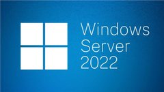 Windows Server 2022 Standard 64Bit English 1pk DSP OEI DVD 24 Core P73-08346 photo
